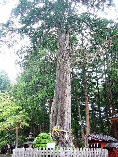 北口本宮富士浅間神社