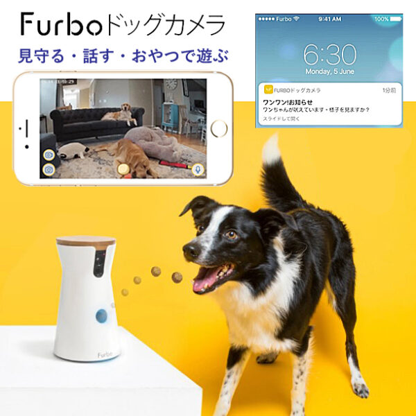 心配な愛犬のお留守番の悩みを解消【Furboドッグカメラ】(人気商品)