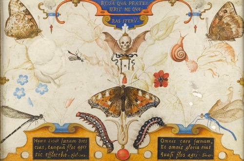 ヨーリス・フーフナーヘル　《人生の短さの寓意》（二連画、部分） 1591年、水彩・ヴェラム、リール美術館 Photo©RMN-cliché Stéphane Maréchalle