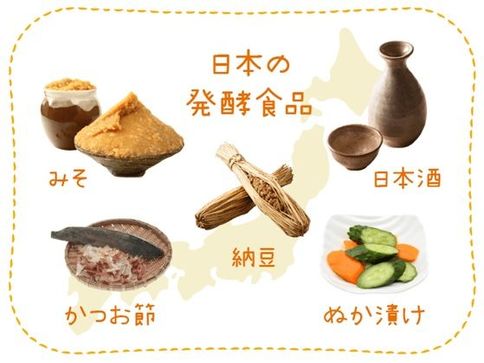 日本生まれのスーパーフード！「発酵食品」で免疫力ＵＰ
