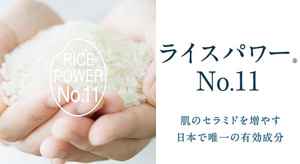 rice power