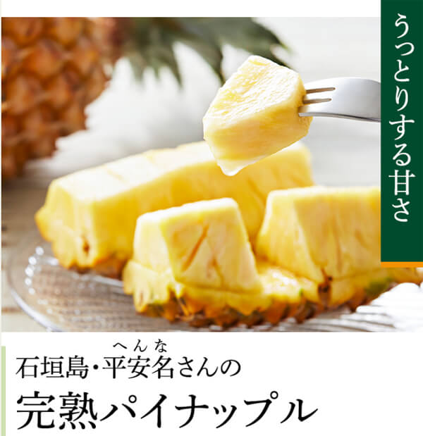 大地を守る会 お試しセット1.975円(税込・送料無料) 2 daichi 427