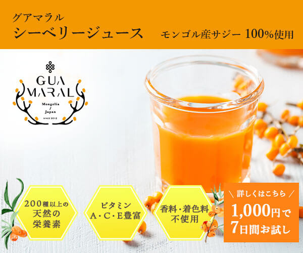 シーベリージュース・最高品質のサジー使用、1週間お試しセット1.000円(送料無料)