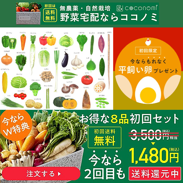 無農薬野菜・無添加食品のココノミ初回限定お試しセットが1480円(税込)送料還元中！