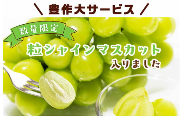 らでぃっしゅぼーや お試しセット