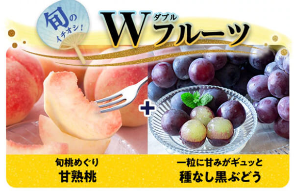 オイシックス お試しセット 季節のフルーツ