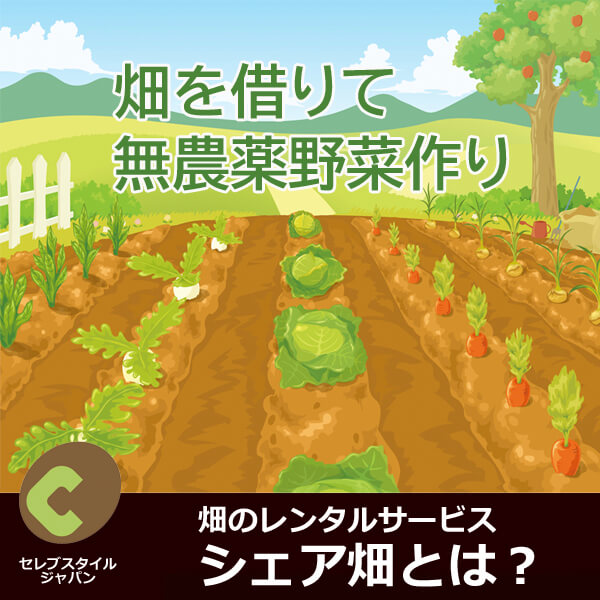 畑レンタルサービス【シェア畑】