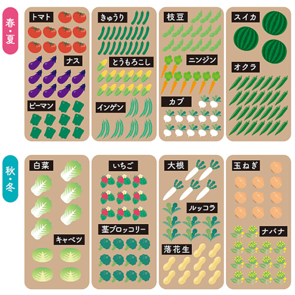 旬の野菜