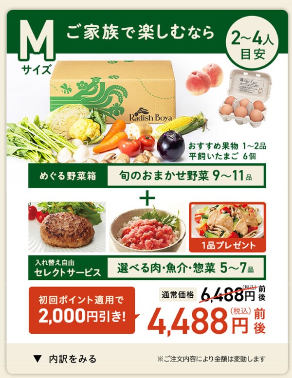 らでぃっしゅぼーやのスタートコース(2〜3人用)