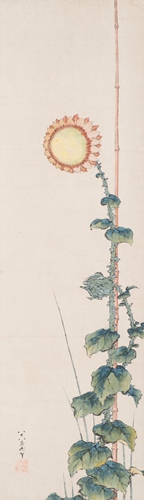 葛飾北斎《向日葵図》紙本1幅　弘化4年（1847）　シンシナティ美術館
