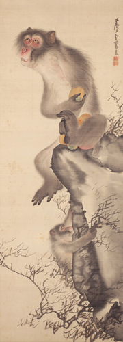 長沢芦雪　《猿猴弄柿図》　絹本着色　一幅　104.0×37.7cm　江戸時代中期（18世紀）　個人蔵