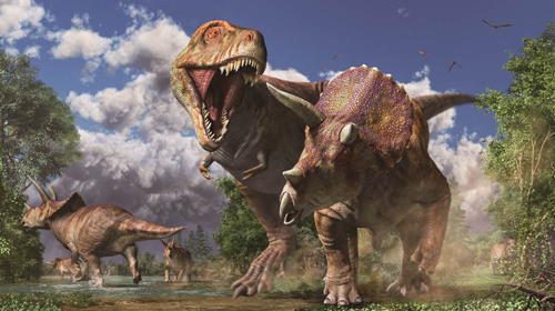 トリケラトプスを襲う ティラノサウルス （復元画:月本佳代美）