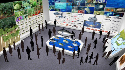 野菜や魚介類など250点以上の標本や模型が並ぶ展示室（イメージ）