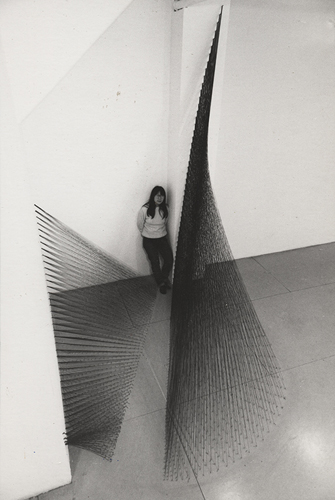宮本和子 《黒い芥子》 1979年 黒い糸、釘 274×183×213 cm