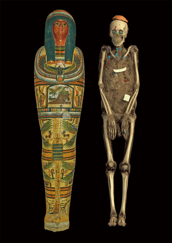 カルトナージュ棺に納められたネスペルエンネブウのミイラと、CTスキャン画像から作成した3次元構築画像 第3中間期・第22王朝、前800年頃、大英博物館蔵、 © The Trustees of the British Museum