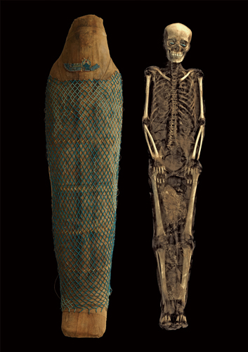 タケネメトのミイラと、CTスキャン画像から作成した3次元構築画像 第3中間期・第25王朝、前700年頃、大英博物館蔵、 © The Trustees of the British Museum