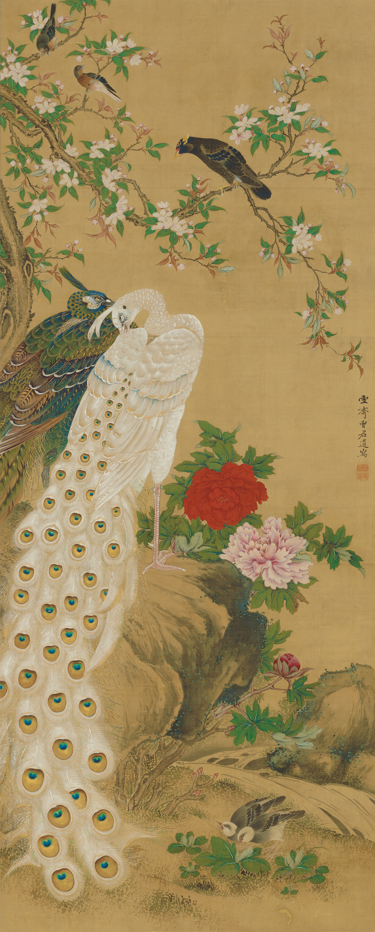 増山雪斎 《孔雀図》（左幅） 江戸時代、享和元年（1801）