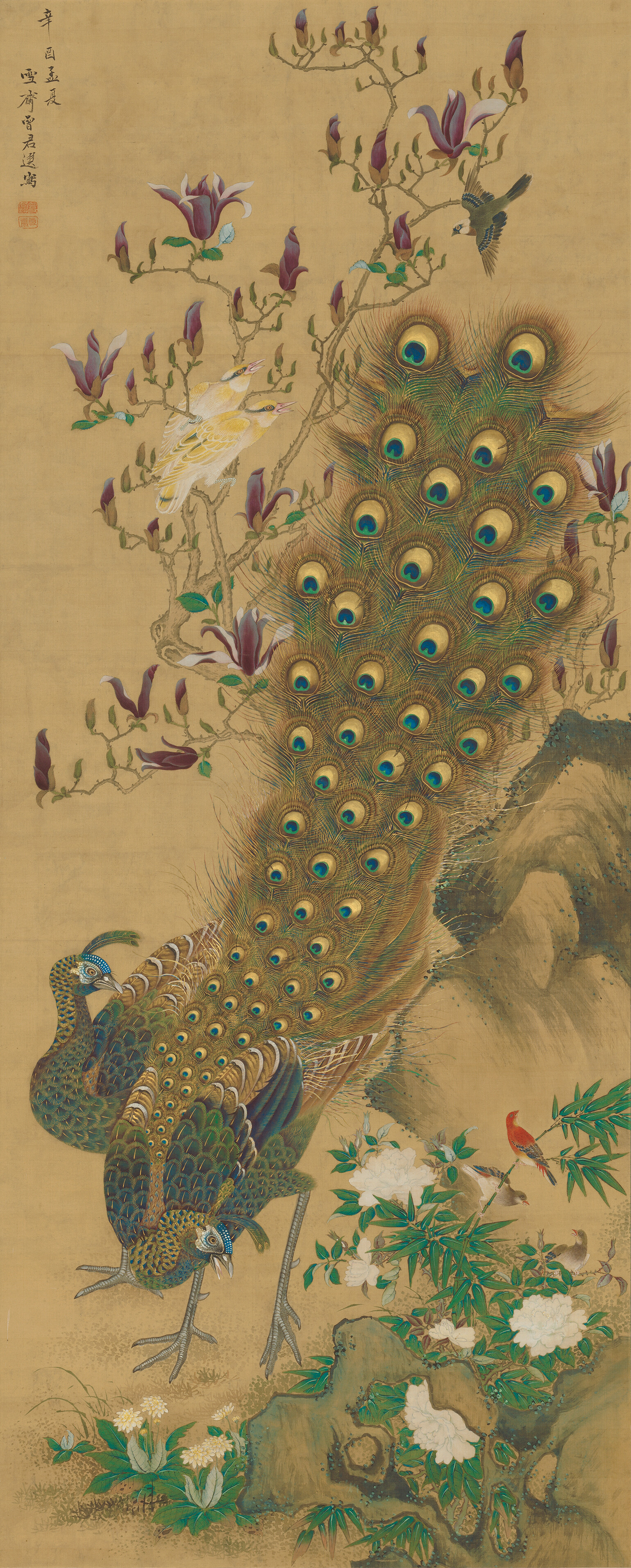 増山雪斎 《孔雀図》（右幅） 江戸時代、享和元年（1801）