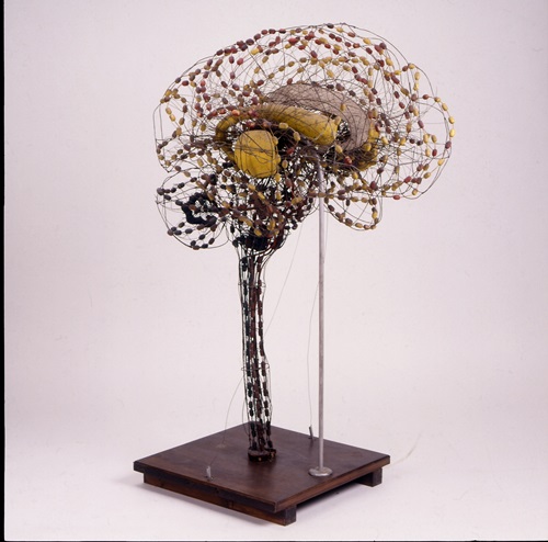 脳の神経線維模型  1893-1910年頃　ブールハーフェ博物館所蔵