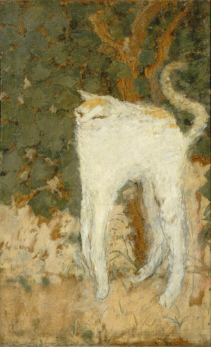ピエール・ボナール《白い猫》1894年　油彩、厚紙　51.9×33.5cm　オルセー美術館　© RMN-Grand Palais (musée d'Orsay) / Hervé Lewandowski / distributed by AMF